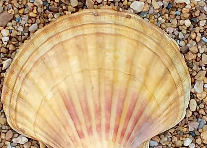 아파트 Avec Loggia Vue