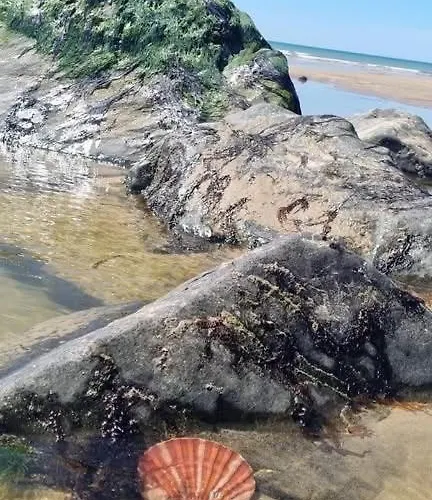 Avec Loggia Vue 생 힐레르 드 리에