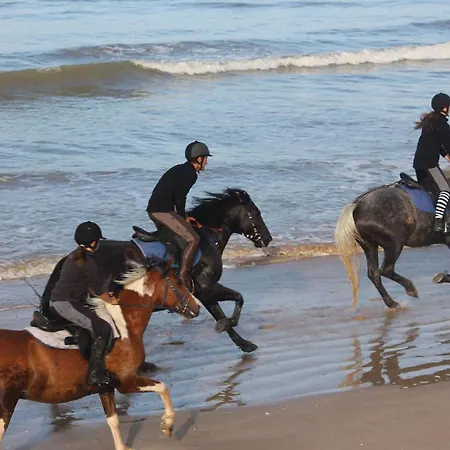 Avec Loggia Vue Daire